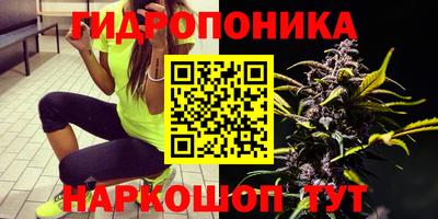 гашик Гусь-Хрустальный